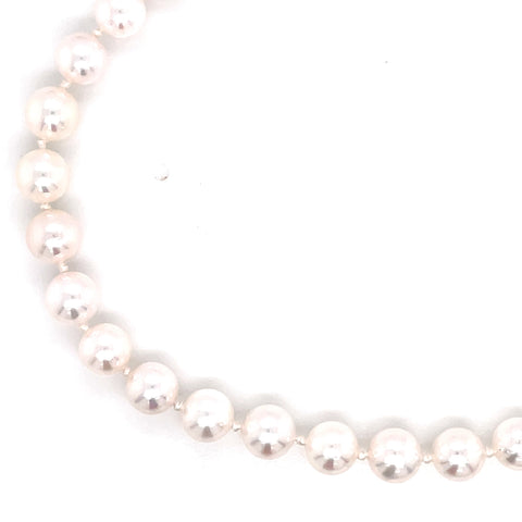 Lady's White 14 Karat Single Strand Bracelet Length 7 With 6.00-6.50Mm