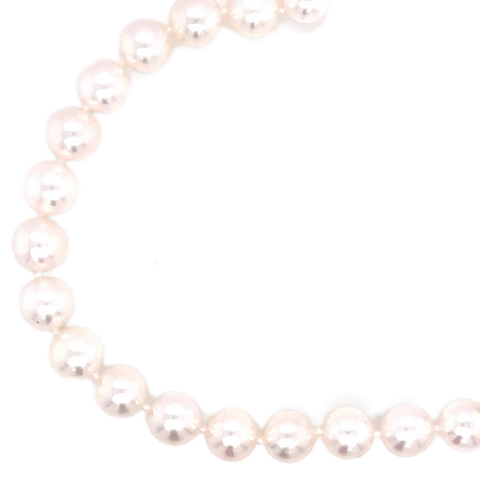 High Luster Bracelet | 14k White