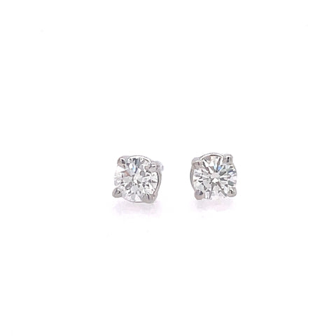 Prong Studs Earrings | 14k White