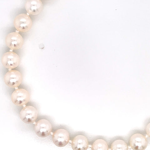 Lady's White 14 Karat Freshwater Single Strand Bracelet Bracelet Lengt