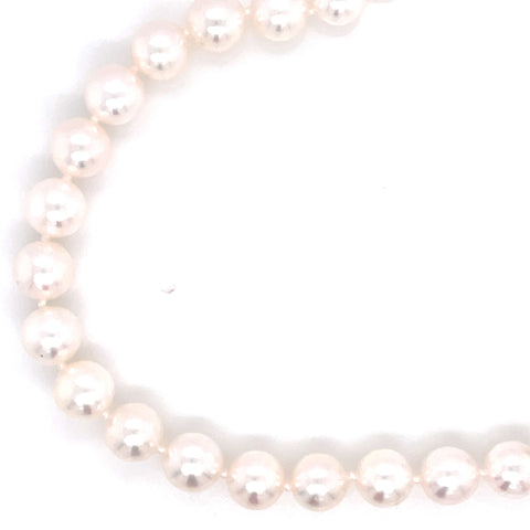 Lady's White 14 Karat High Luster Bracelet Bracelet Length 7.5 With 7.
