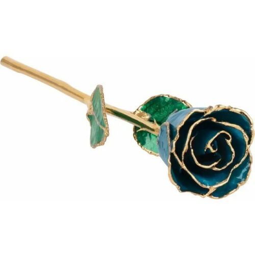 December Birth Month Rose, Trimmed In 24 Karat Gold