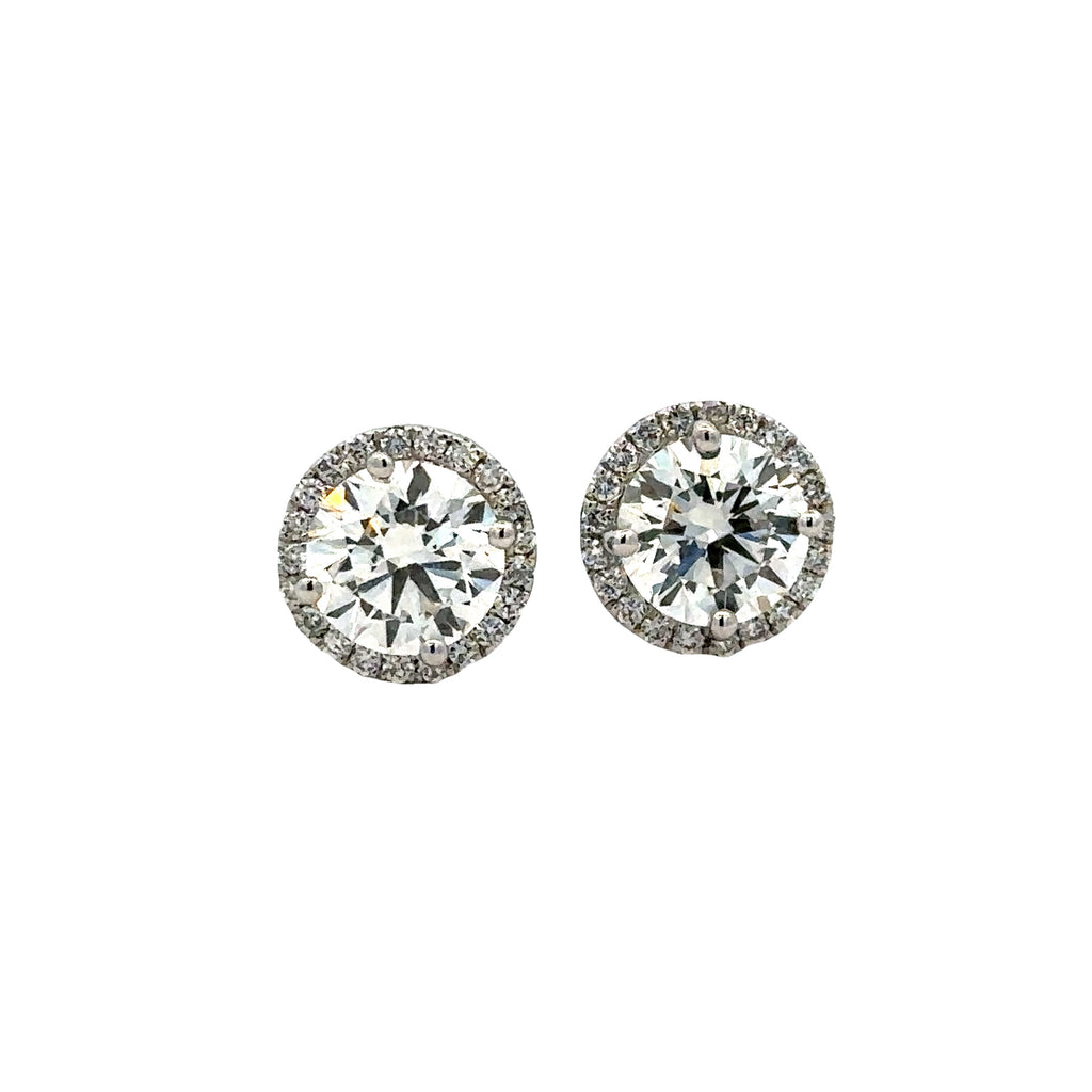 Halo Studs Earrings | 14k White