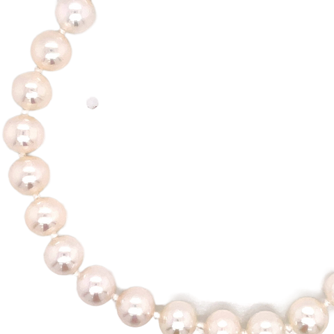 Single Strand Bracelet | 14k White