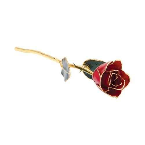 Lacquered Red Rose with 24k Gold Trim