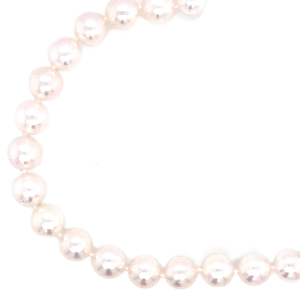 High Luster Bracelet | 14k White