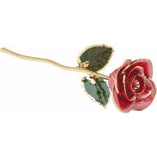 24k Gold Plated Pink Rose with Trim, 12"