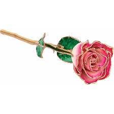 24k Gold Plated, Lacquered Ombre Magenta Rose