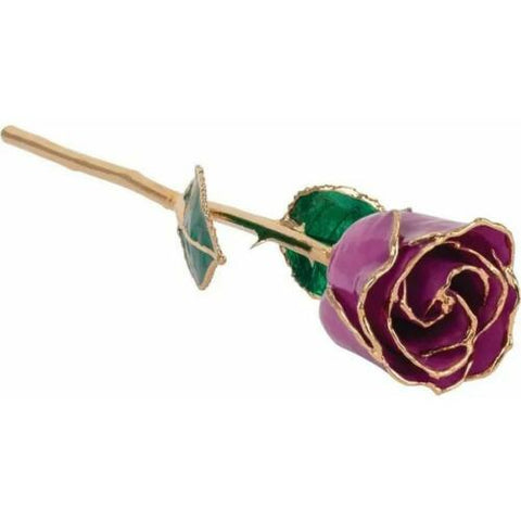 Lacquered February, Amethyst Colored Rose with Gold Trim